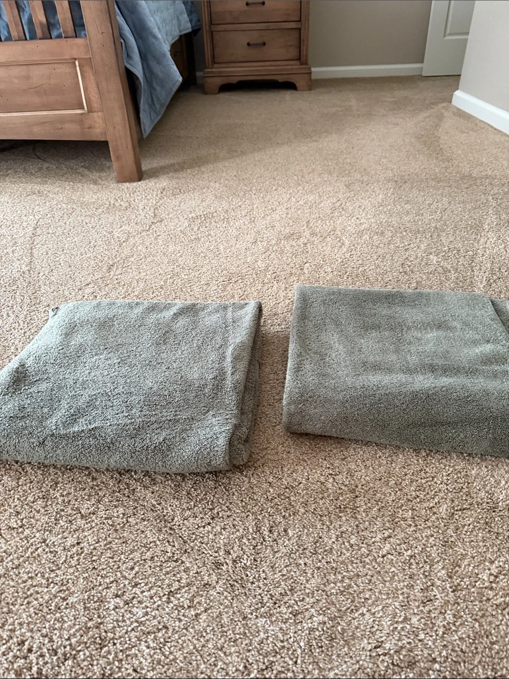 Threshold Green Plush Bath Towels - Set of 2